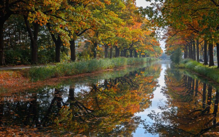 Herfstkleuren in deze bomenrij langs het kanaal