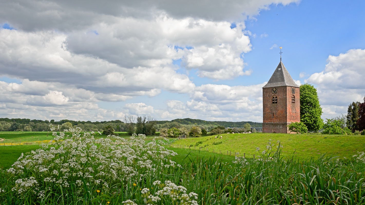 Uitzicht op uiterwaarden en de toren van de hervormde kerk in Heteren