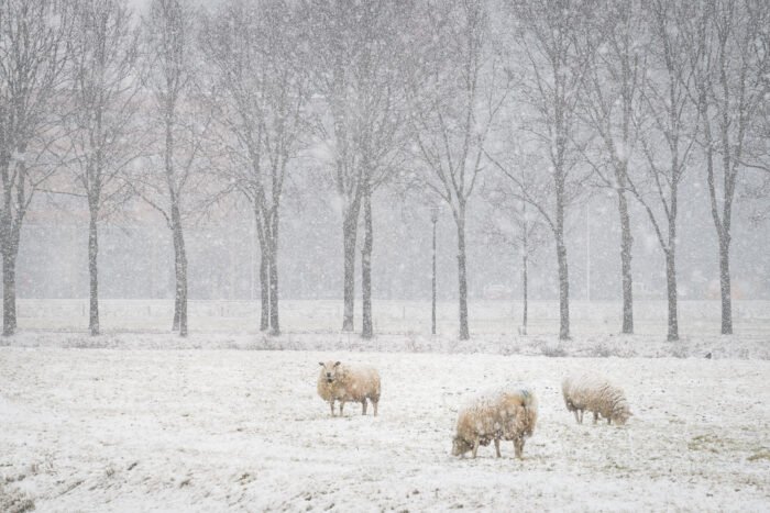 Winter in Nederland